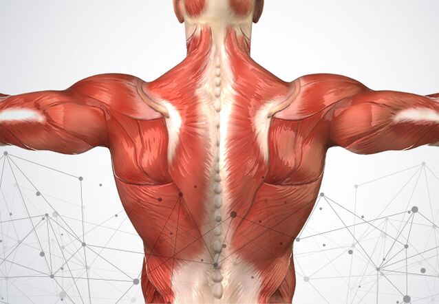 Dor muscular ao longo da columna