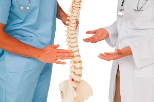 Médicos e modelo de columna vertebral